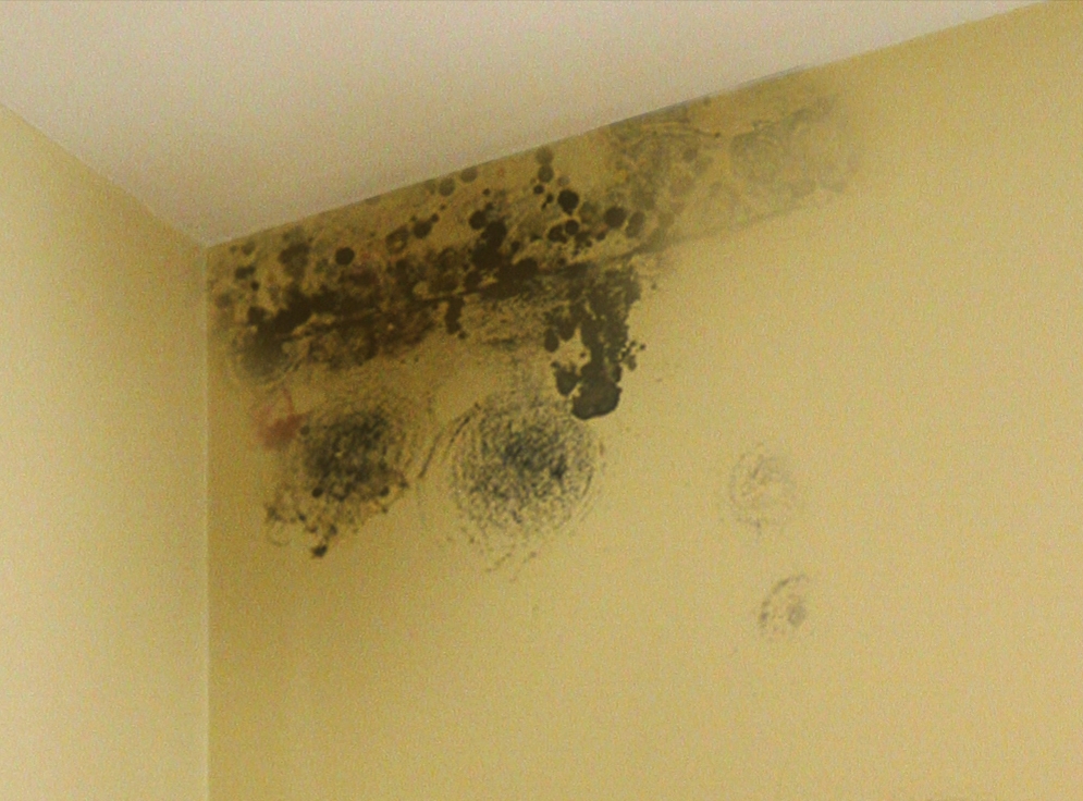 Mould Wall